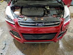 Ford Escape 2014