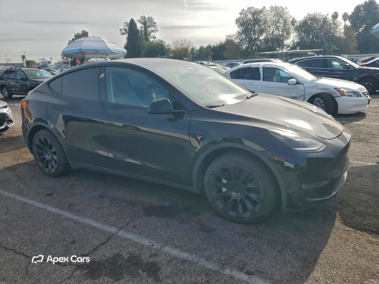 Tesla Model Y 2023