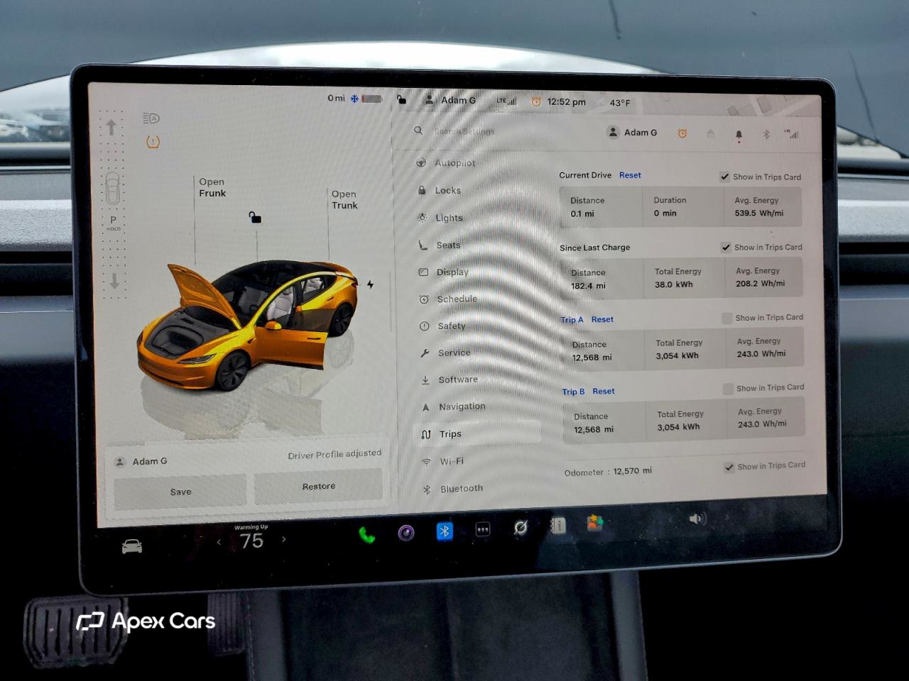 Tesla Model 3 2025