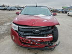 Ford Edge 2013