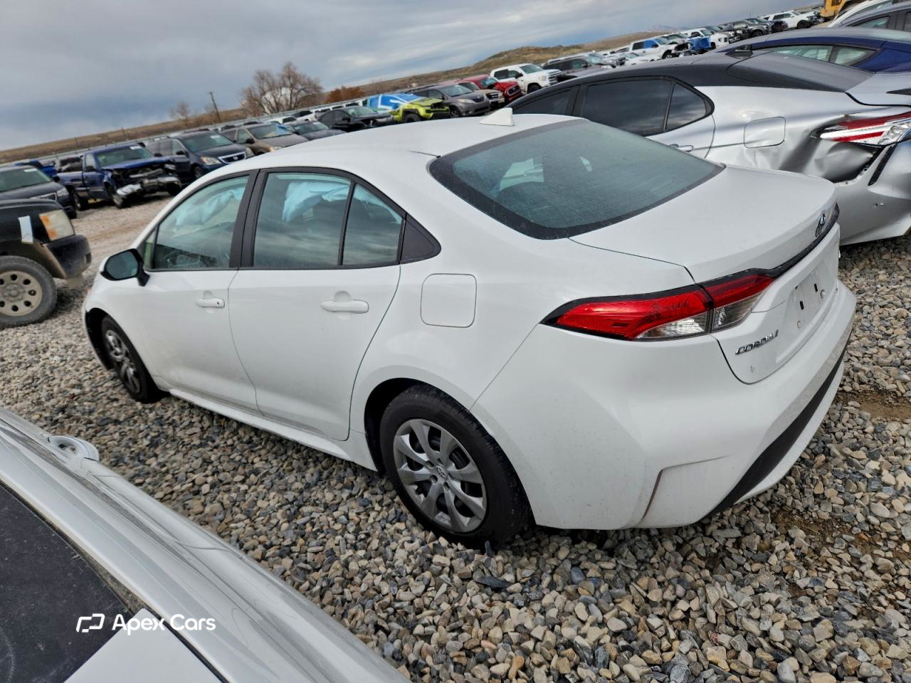 Toyota Corolla 2021
