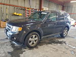 Ford Escape 2011