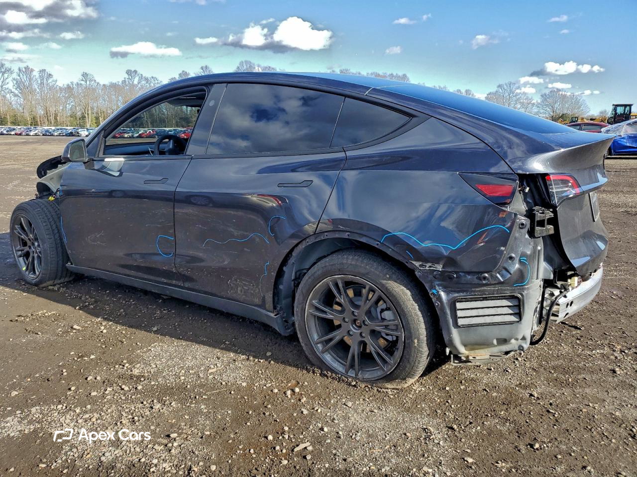 Tesla Model Y 2025