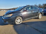 Lexus HS 2010