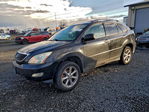 Lexus RX 2009
