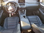 Lexus NX 2021