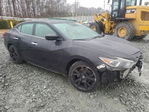 Nissan Maxima 2017