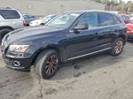 Audi Q5 2013
