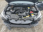 Subaru Outback 2025