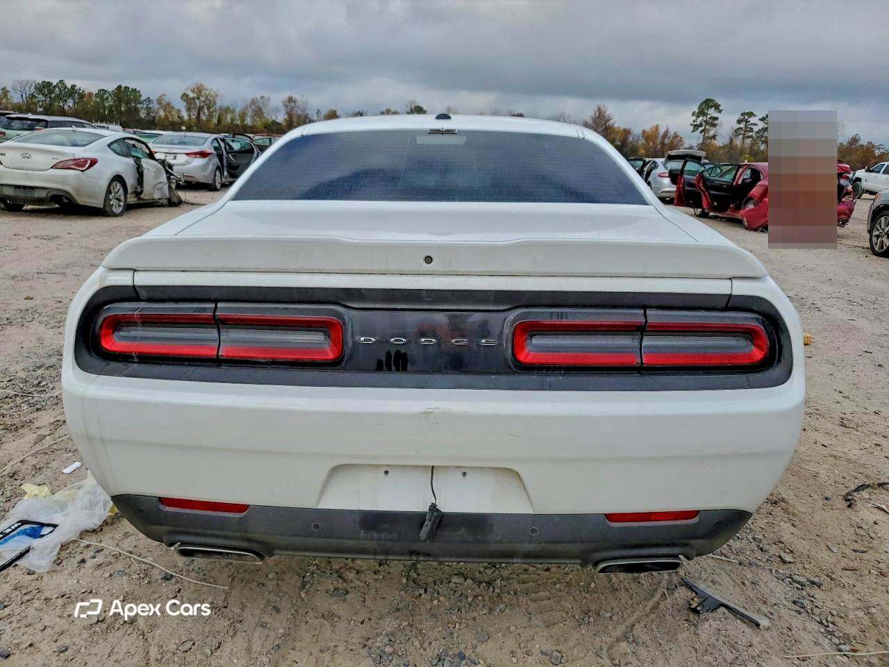 Dodge Challenger 2019