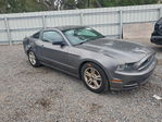 Ford Mustang 2014