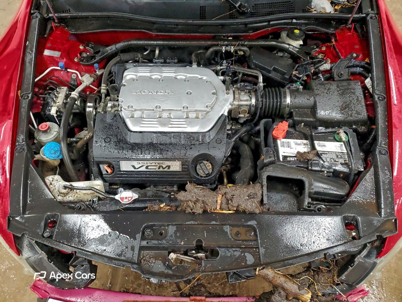 Honda Accord 2011
