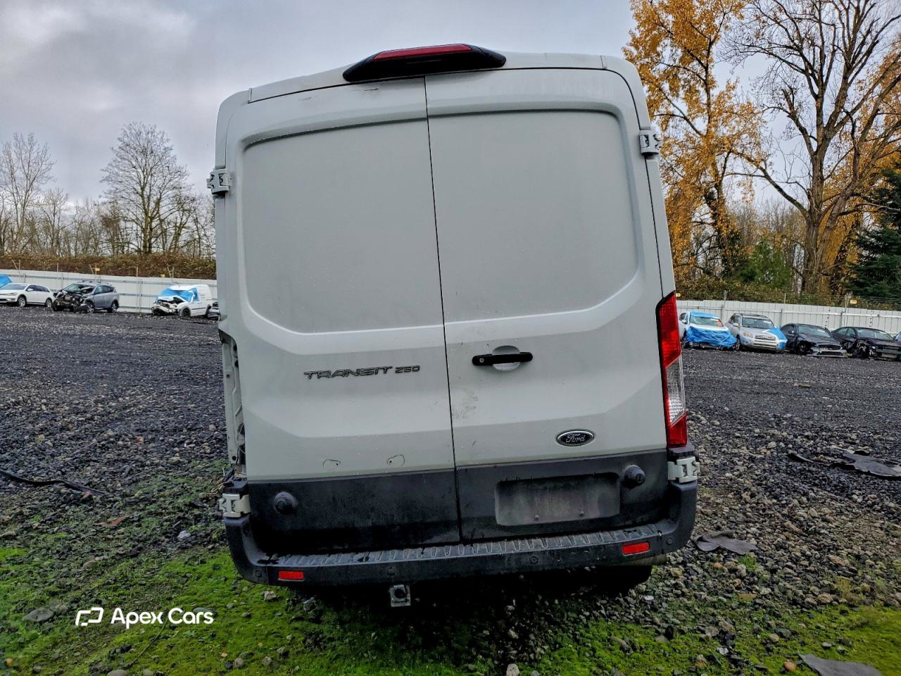 Ford Transit 2024