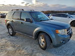 Ford Escape 2010