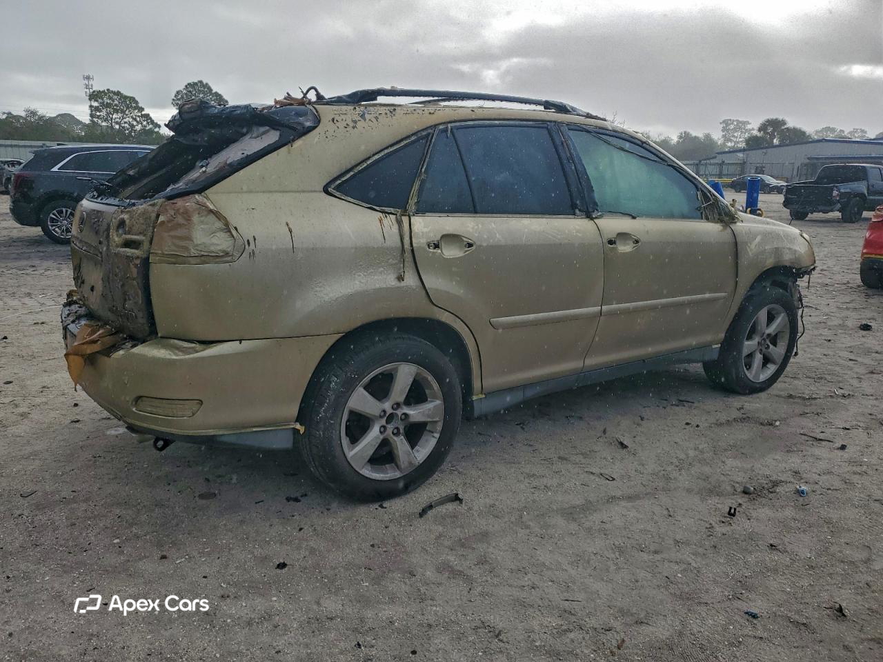 Lexus RX 2006