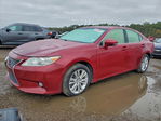 Lexus ES 2014