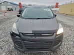 Ford Escape 2015