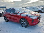 Ford Escape 2024
