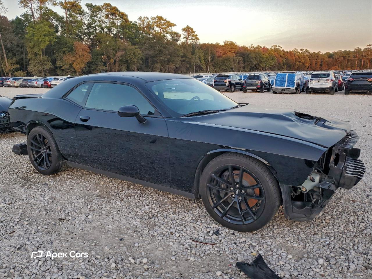 Dodge Challenger 2021
