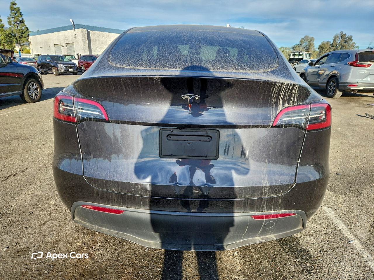 Tesla Model Y 2024