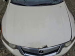 Acura TSX 2010