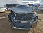 Lexus RX 2021