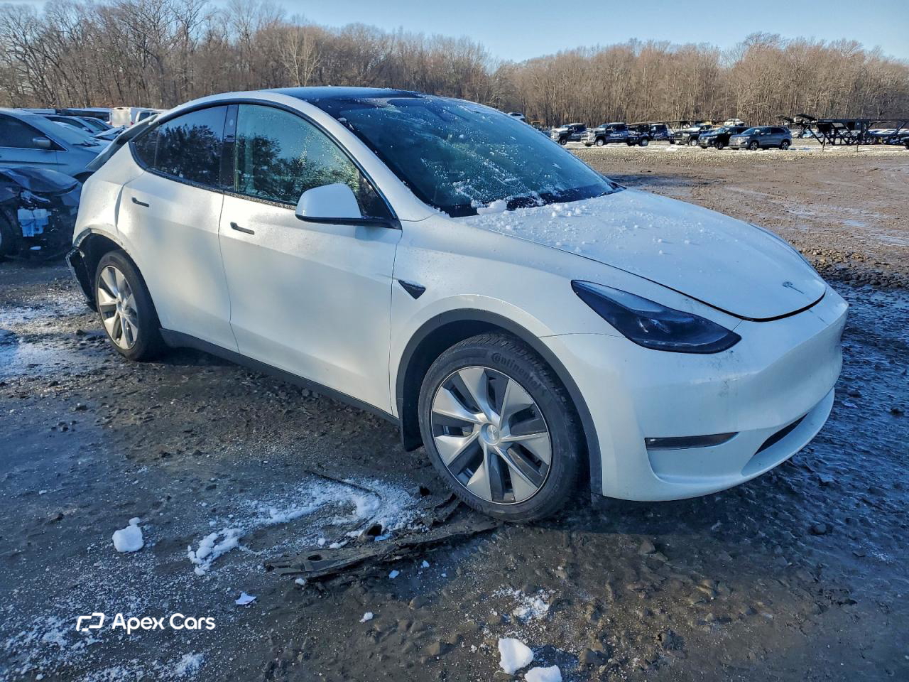 Tesla Model Y 2023