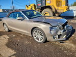 Audi A5 2010