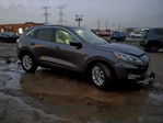 Ford Escape 2020