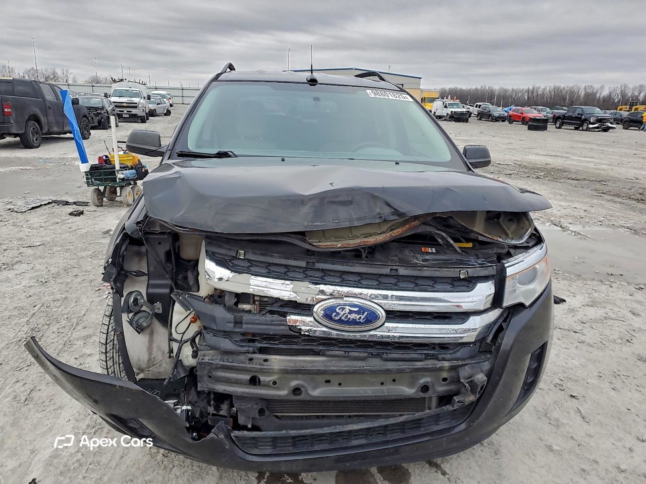 Ford Edge 2014