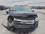 Ford Edge 2014