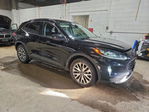 Ford Escape 2020