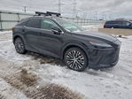 Lexus RX 2024