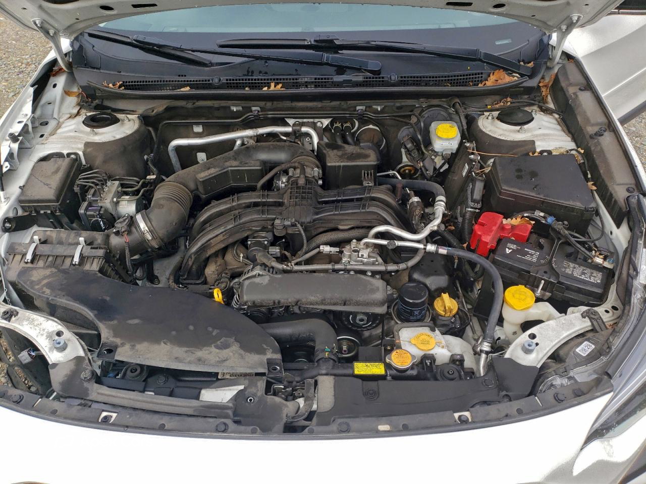 Subaru Outback 2023