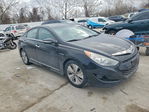 Hyundai Sonata 2013