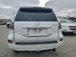 Lexus GX 2014
