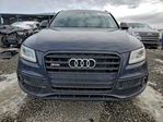 Audi SQ5 2016