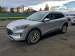 Ford Escape 2020