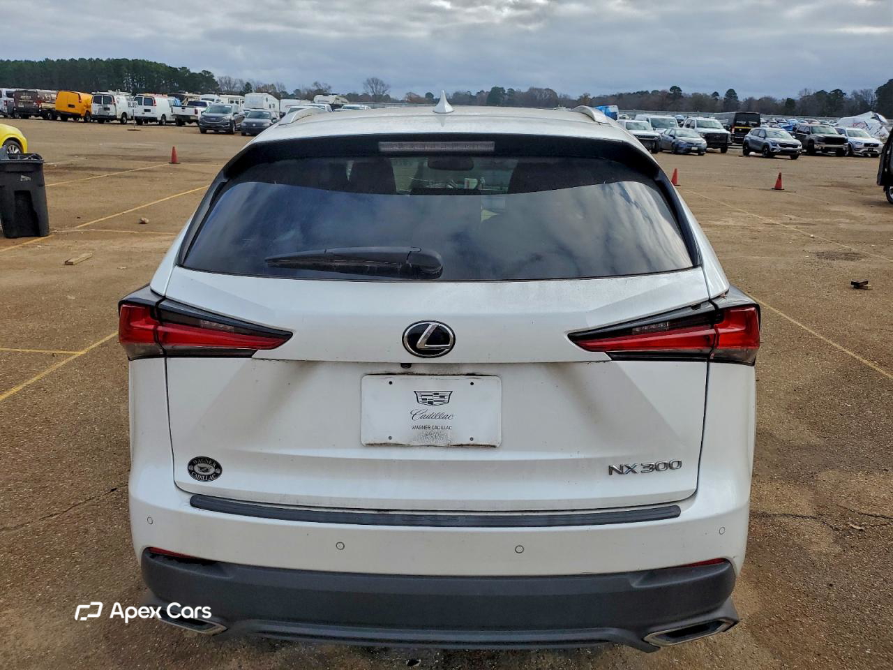 Lexus NX 2019
