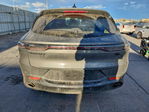 Dodge Hornet 2024