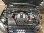 Audi SQ5 2016