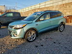 Ford Escape 2013