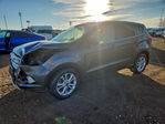 Ford Escape 2019
