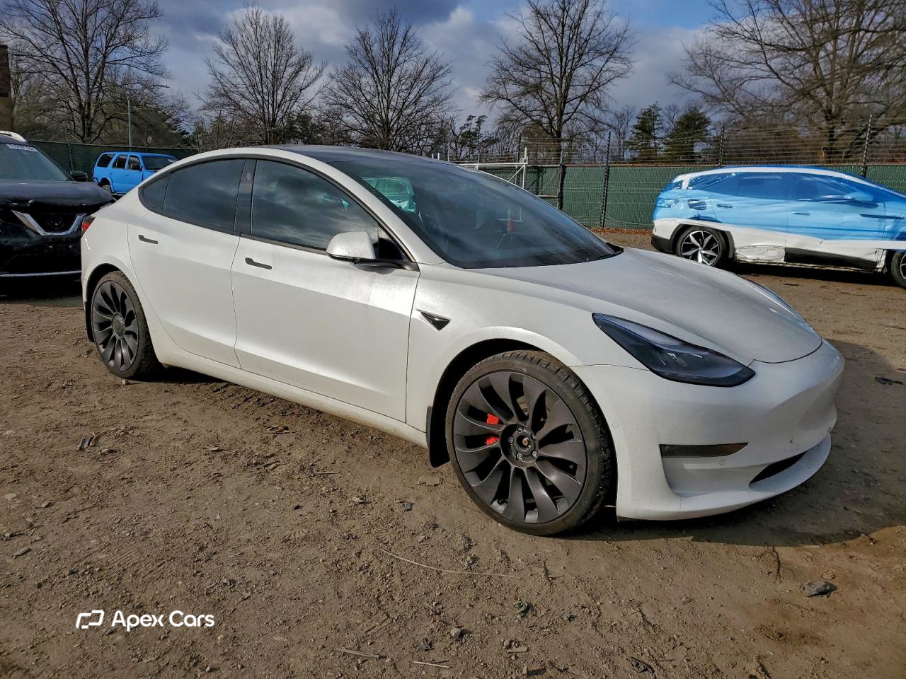 Tesla Model 3 2021