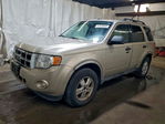 Ford Escape 2012