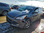 Ford Escape 2013