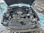 Ford Mustang 2007