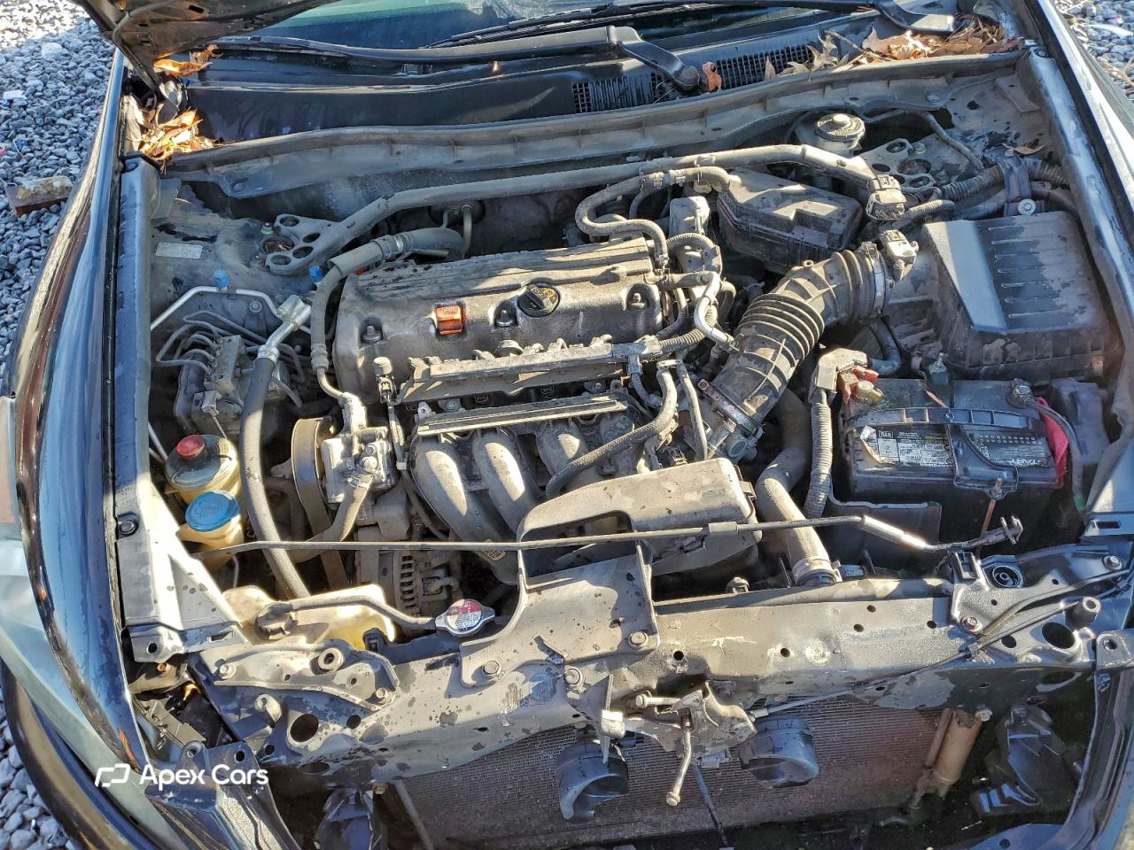 Honda Accord 2011