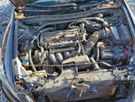 Honda Accord 2011