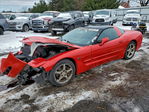 Chevrolet Corvette 2004